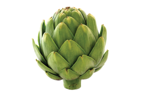 Artichoke