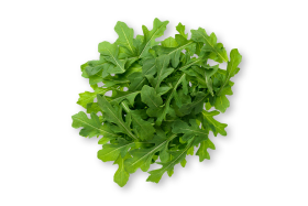 Arugula
