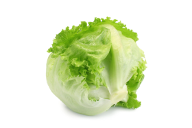 Cabbage Lettuce