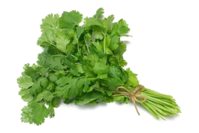 Coriander