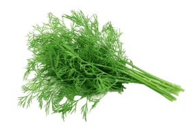 Dill