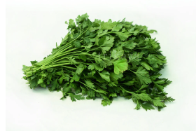 Flat Parsley