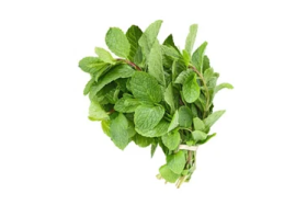 Moroccan Mint