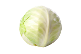 White Cabbage